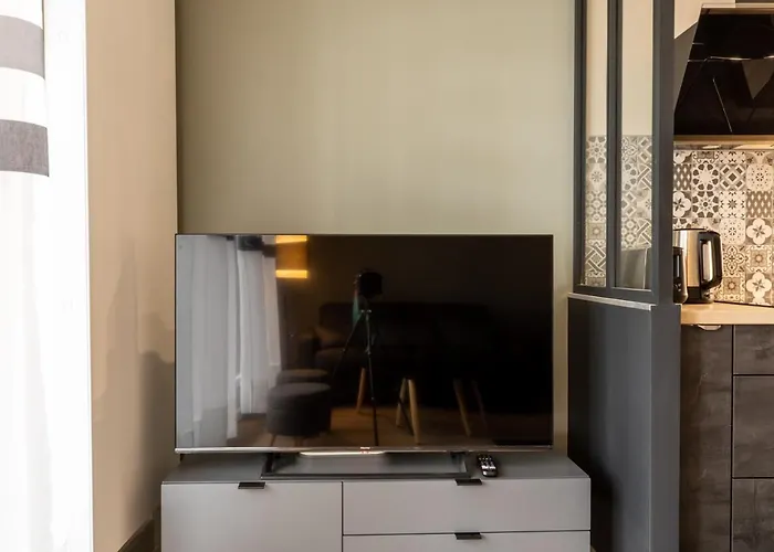 Standing Thermes - Confort - Proche Thermes & Bords D'allier Vichy